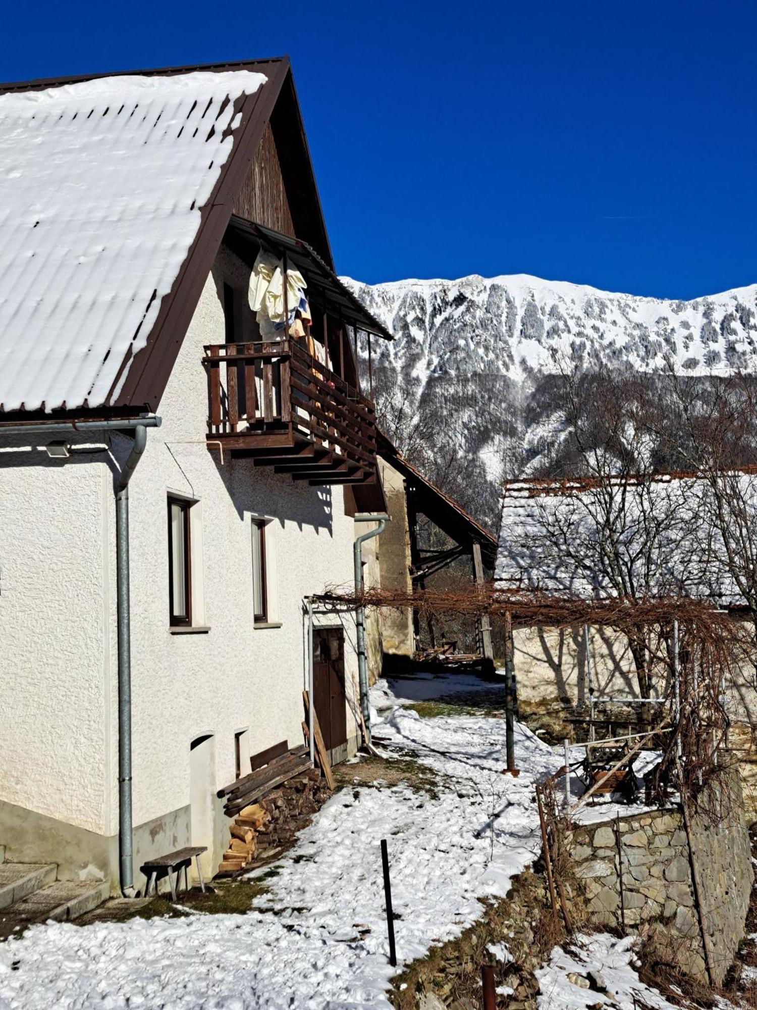 Hikers Hut Hisar Apartment Podbrdo Luaran gambar
