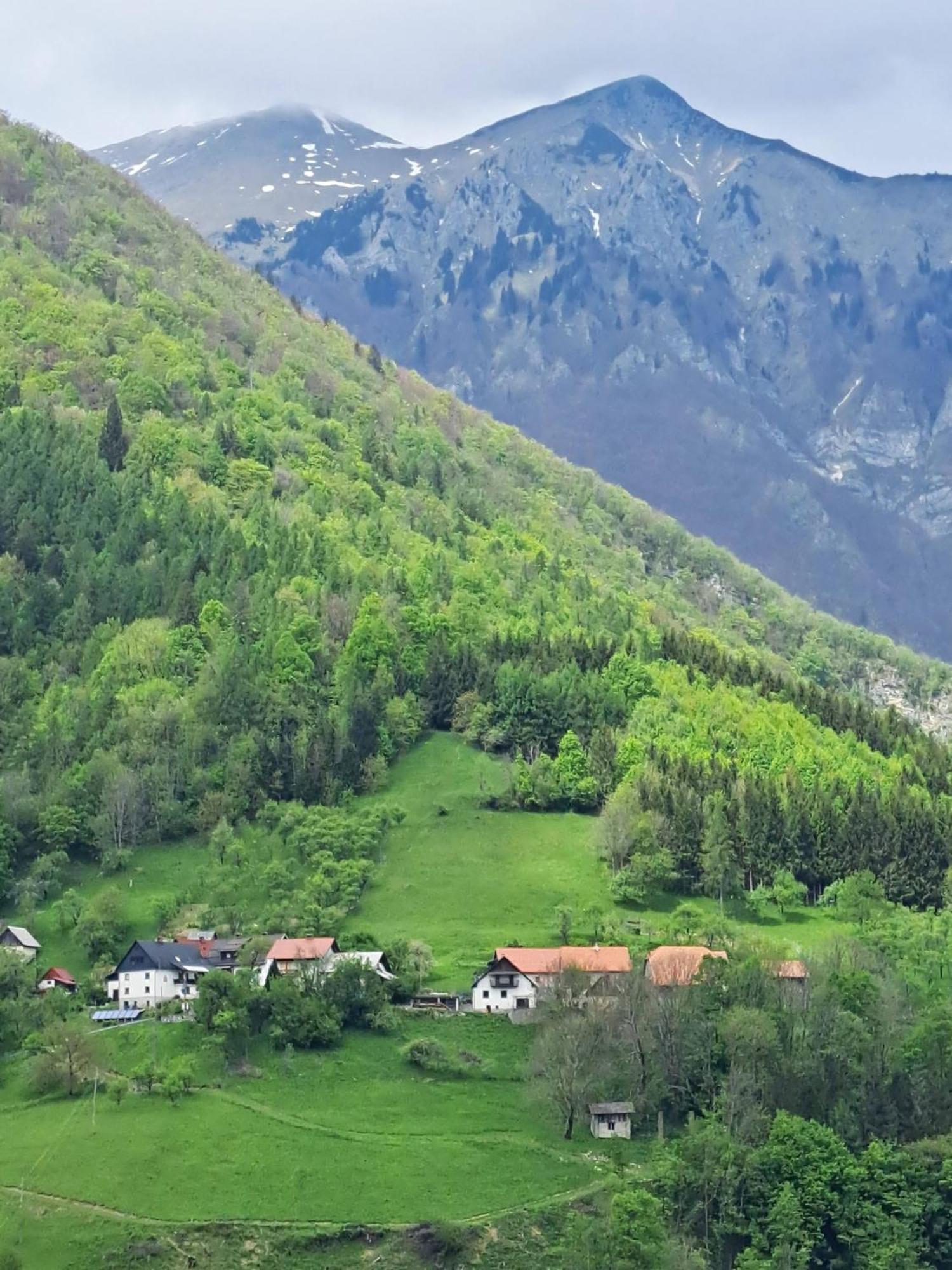 Hikers Hut Hisar Apartment Podbrdo Luaran gambar