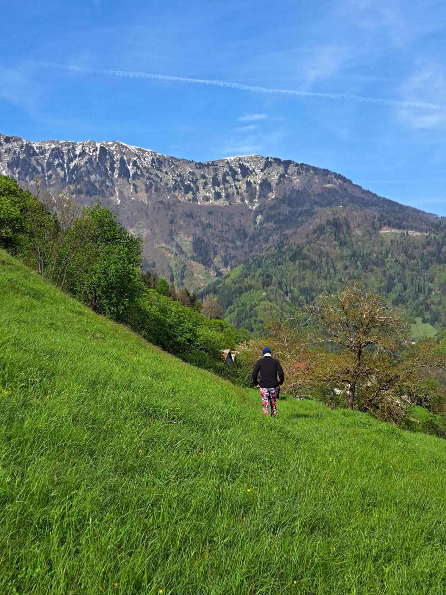 Hikers Hut Hisar Apartment Podbrdo Luaran gambar